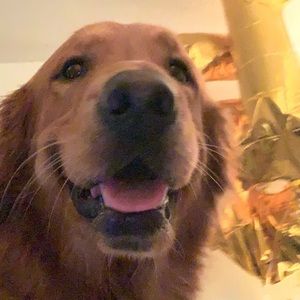 Meet your Posher, Reham